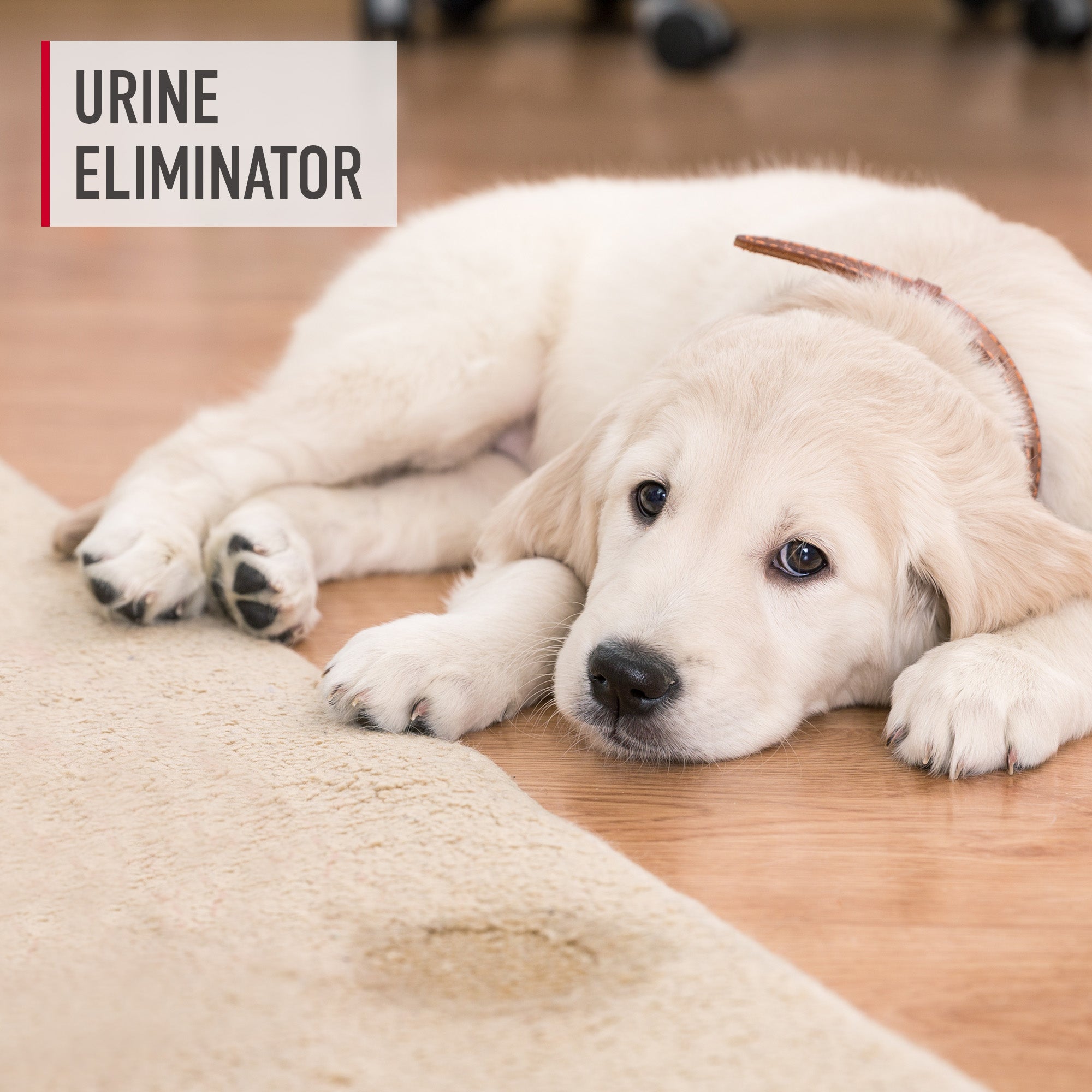 Paws And Claws Urine Eliminator 22 oz. - Image 3